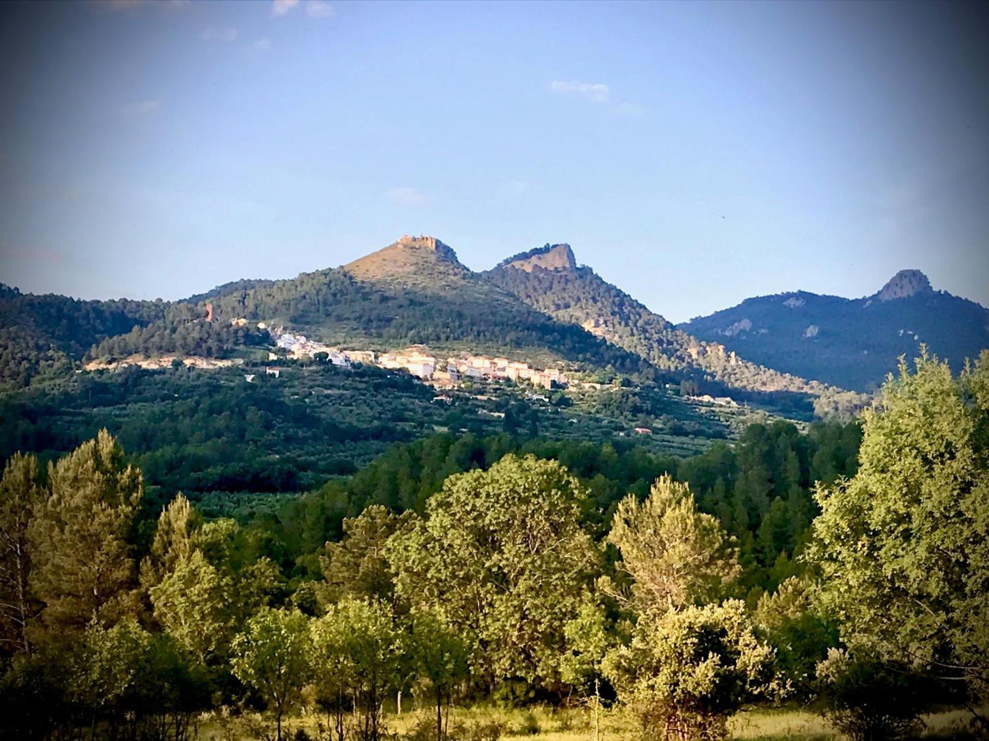 Casas Rurales Los Palenques Villaverde De Guadalimar Esterno foto